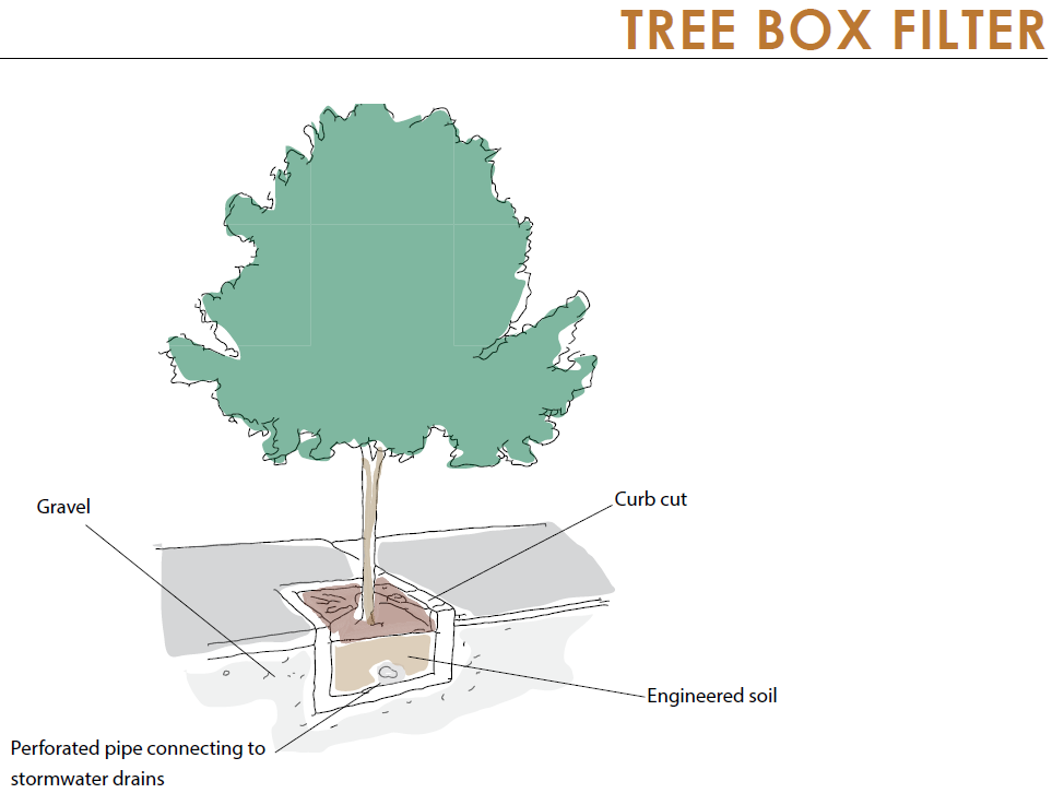 Urban Tree Planting Projects - GreenBlue Urban