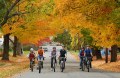 Group of adults and children biking on a street overhung by fall foliage. Image credit: Paul Franz, The Recorder